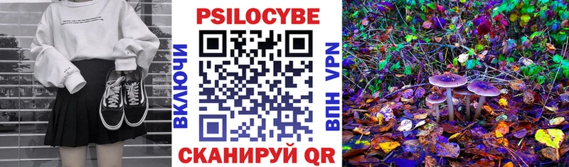мега рабочий сайт  Харабали  Псилоцибиновые грибы Cubensis 